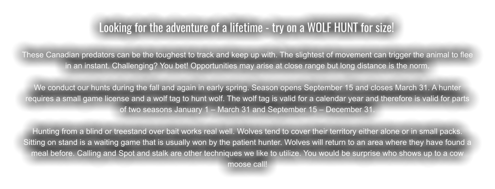 Looking for the adventure of a lifetime - try on a WOLF HUNT for size!	  These Canadian predators can be the toughest to track and keep up with. The slightest of movement can trigger the animal to flee in an instant. Challenging? You bet! Opportunities may arise at close range but long distance is the norm.  We conduct our hunts during the fall and again in early spring. Season opens September 15 and closes March 31. A hunter requires a small game license and a wolf tag to hunt wolf. The wolf tag is valid for a calendar year and therefore is valid for parts of two seasons January 1 – March 31 and September 15 – December 31.  Hunting from a blind or treestand over bait works real well. Wolves tend to cover their territory either alone or in small packs. Sitting on stand is a waiting game that is usually won by the patient hunter. Wolves will return to an area where they have found a meal before. Calling and Spot and stalk are other techniques we like to utilize. You would be surprise who shows up to a cow moose call!